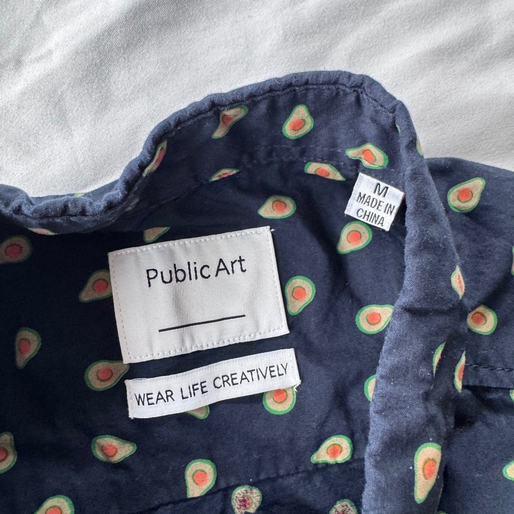 Public Art Button Down - image 1